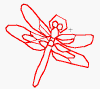 dragonfly - jan-drgnfly.gif (5600 bytes)