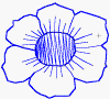 pansy flower - jan-flr.gif (7791 bytes)